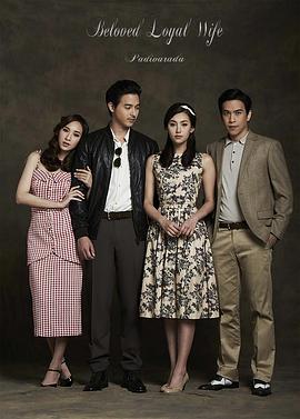 爱妻普通话版封面图