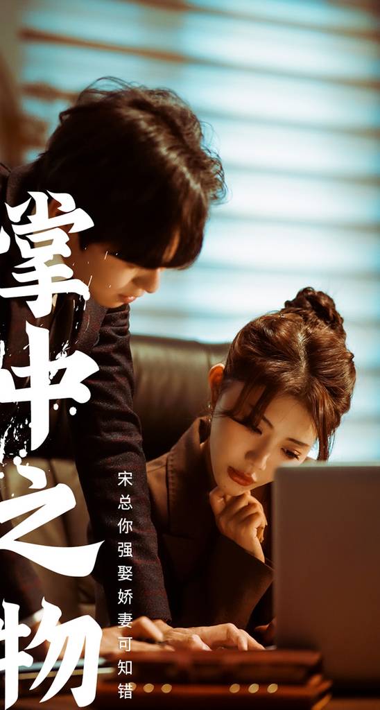 掌中之物：宋总你强娶的娇妻可知错封面图