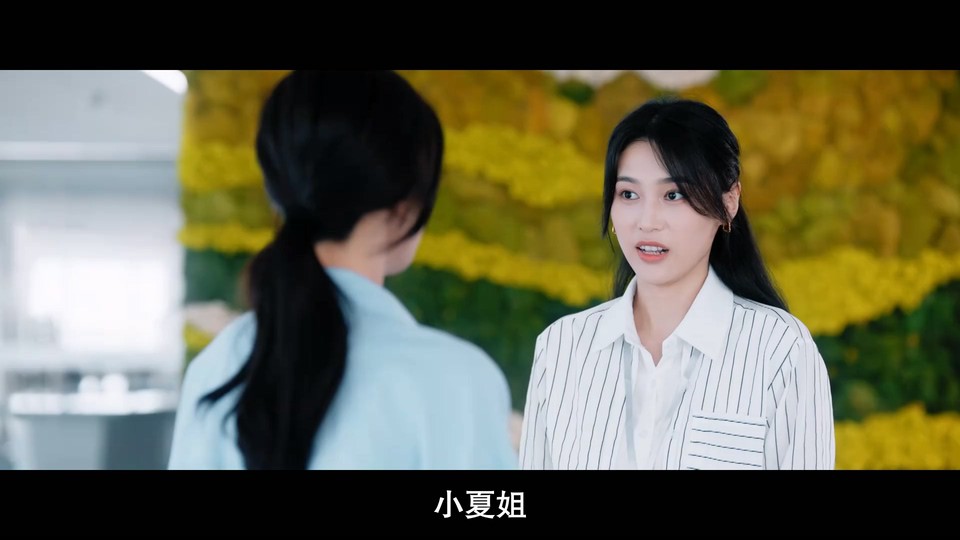 2024国剧《奔向所有时空的你》16集全.HD1080P.国语中字截图