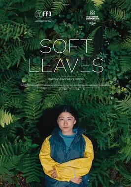 温柔的叶子封面图