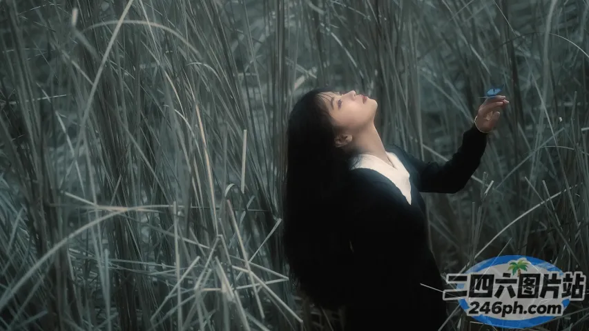 身穿黑白连衣裙的女人站在高高的草丛中，手里拿着一只蓝色的鸟
