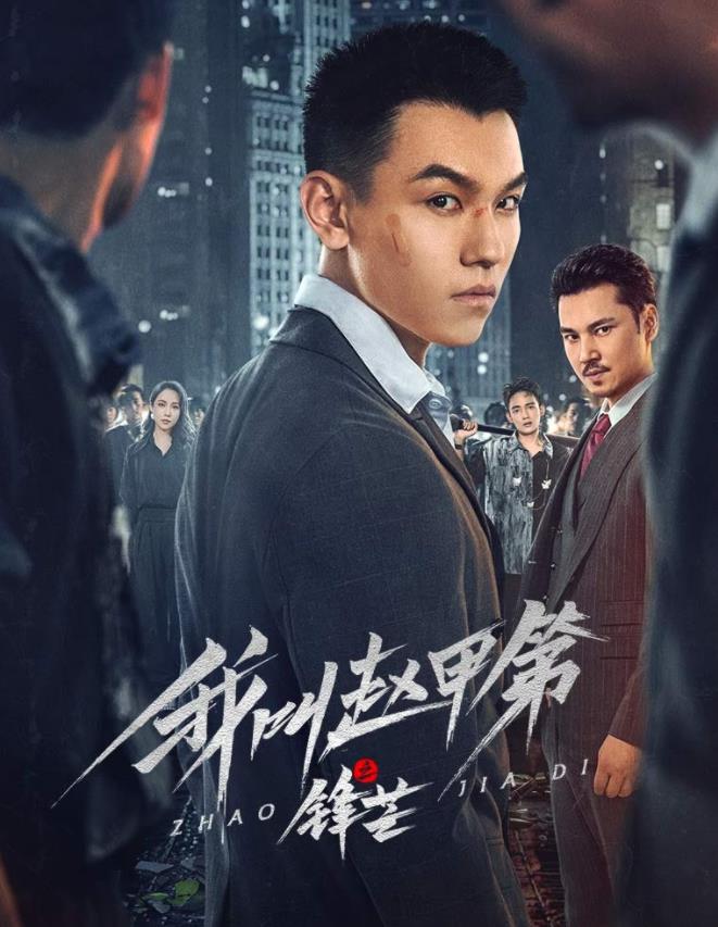 我叫赵甲第之锋芒封面图